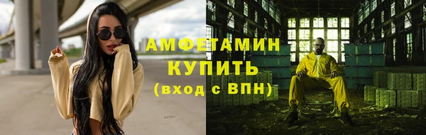 PSILOCYBIN Алзамай