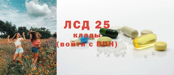гидра Саяногорск