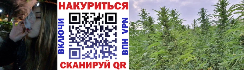 Бошки марихуана OG Kush  Тавда 